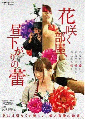 潮声影院电影字幕资料封面
